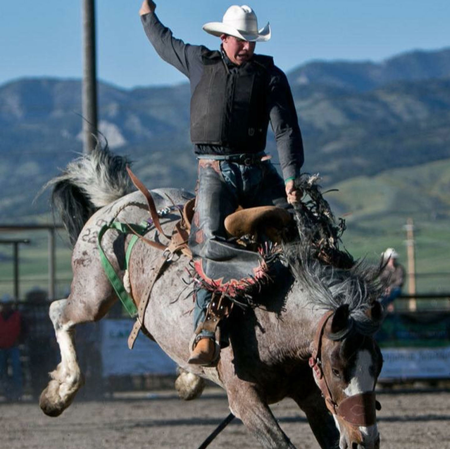Rodeo